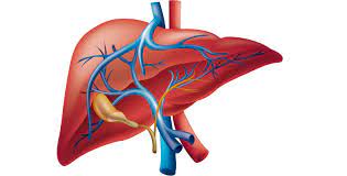 Tratamiento Natural para Enfermedades Hepaticas