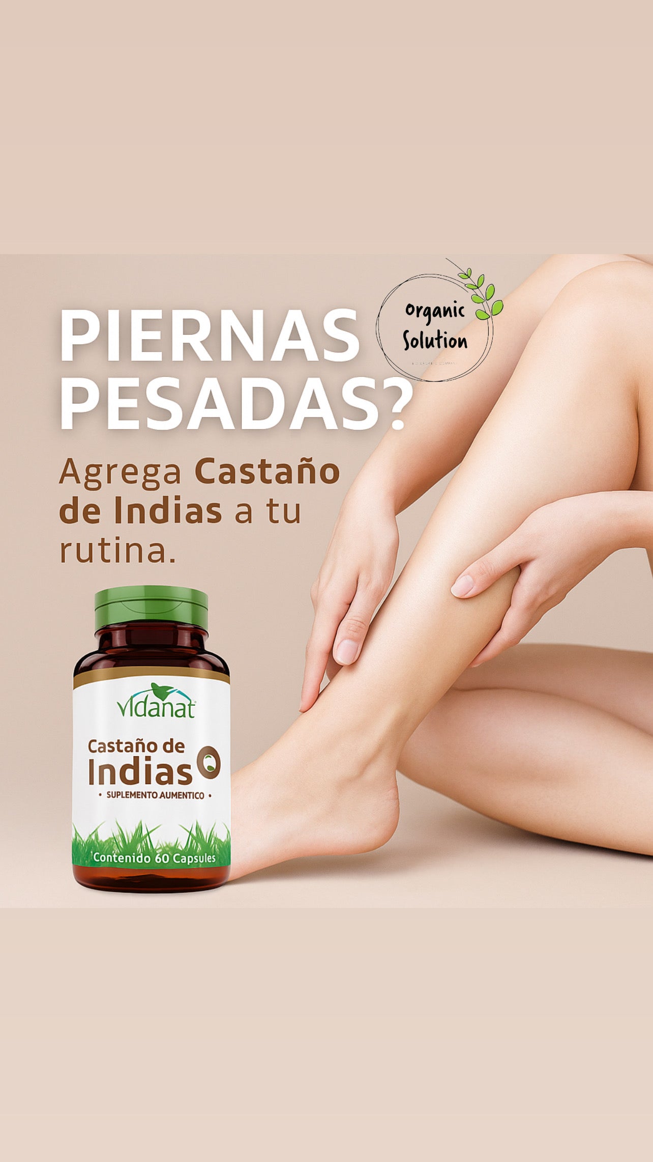 Castaño de Indias