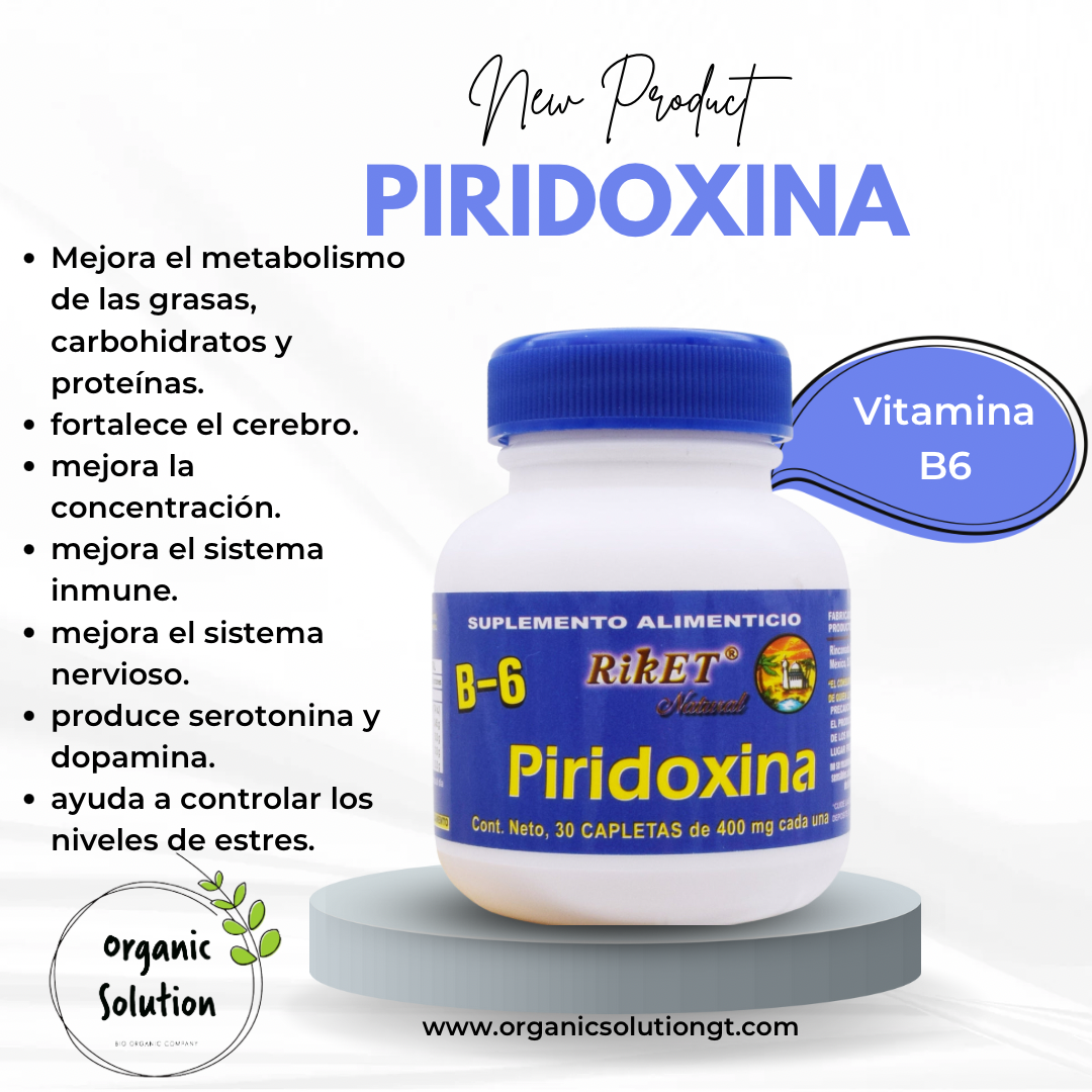 Piridoxina B6