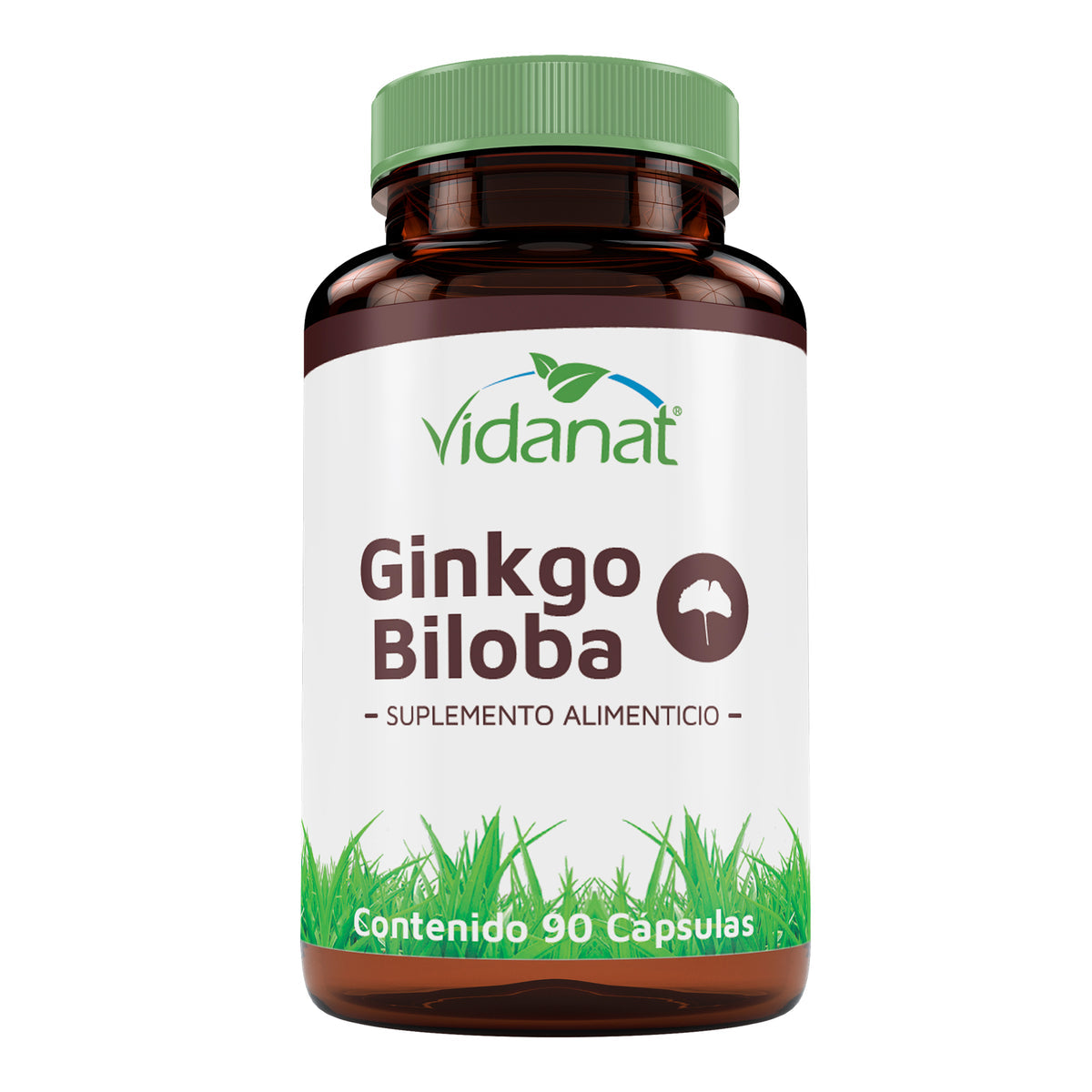 Ginkgo Biloba 90 Cap