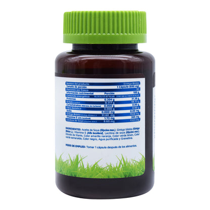 Ginkgo Biloba 90 Cap