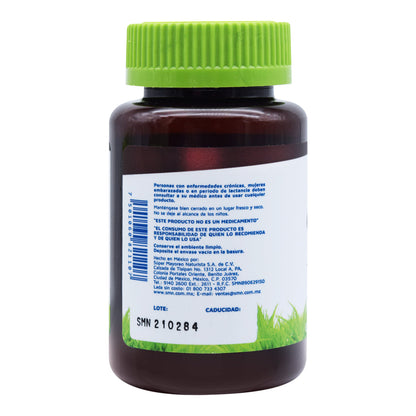 Ginkgo Biloba 90 Cap