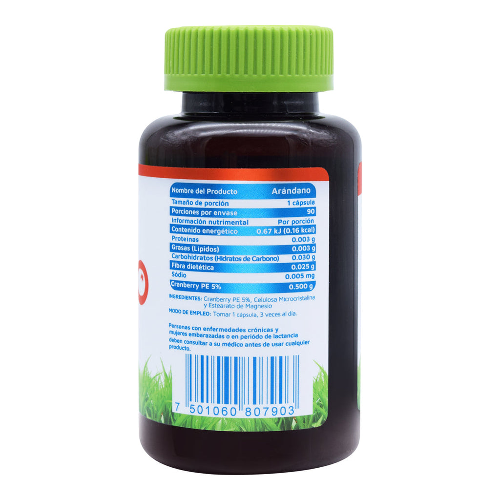 Arandano 90 Cap

Por VIDANAT/VITAMINAS
