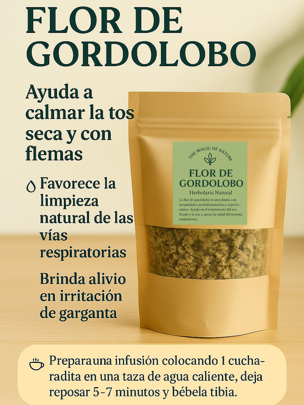 Gordolobo