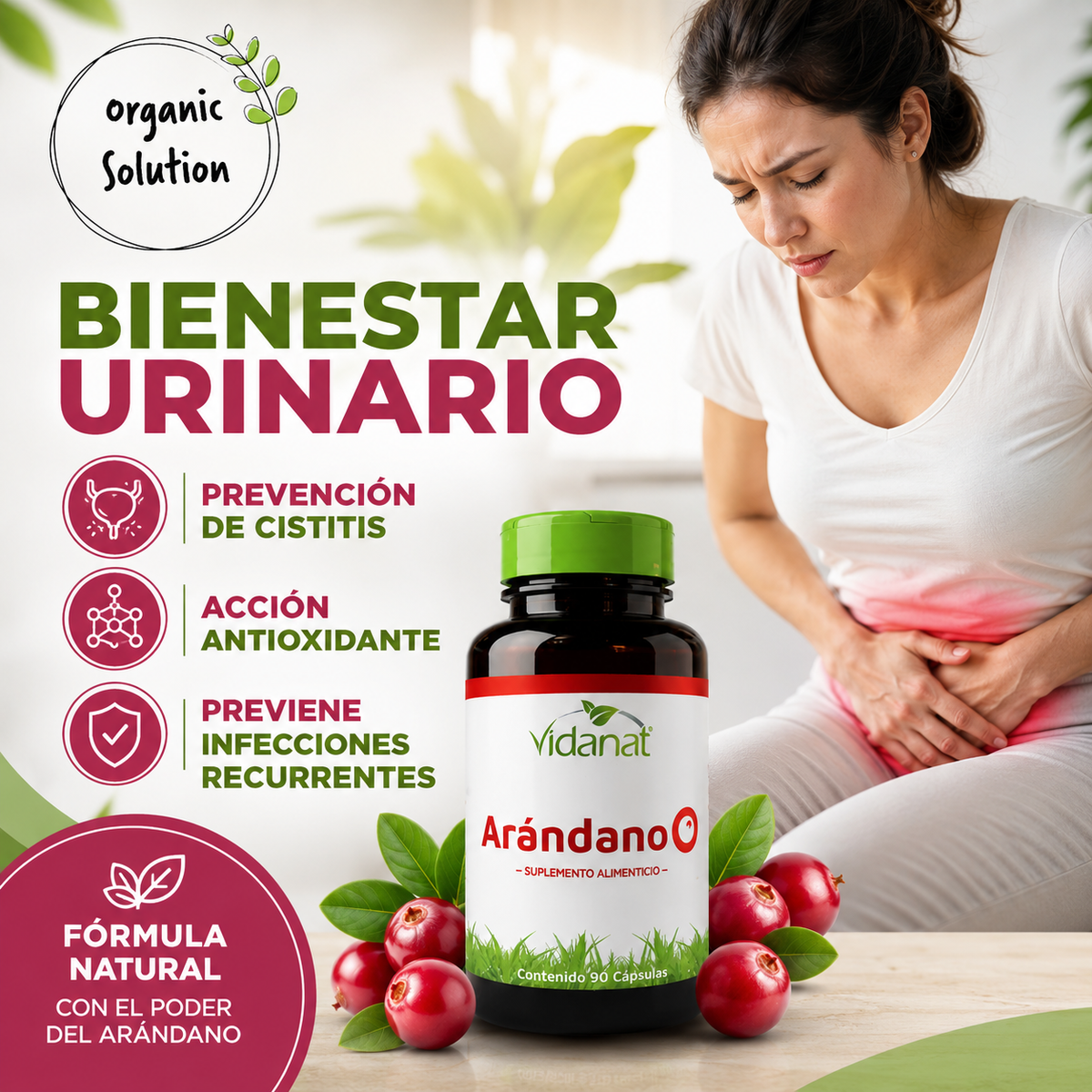 Arándano 90 Cápsulas – Vidanat