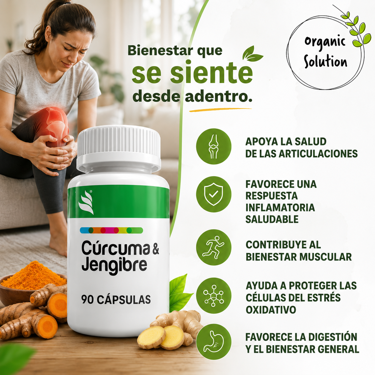 Cúrcuma con Jengibre 90 Cápsulas