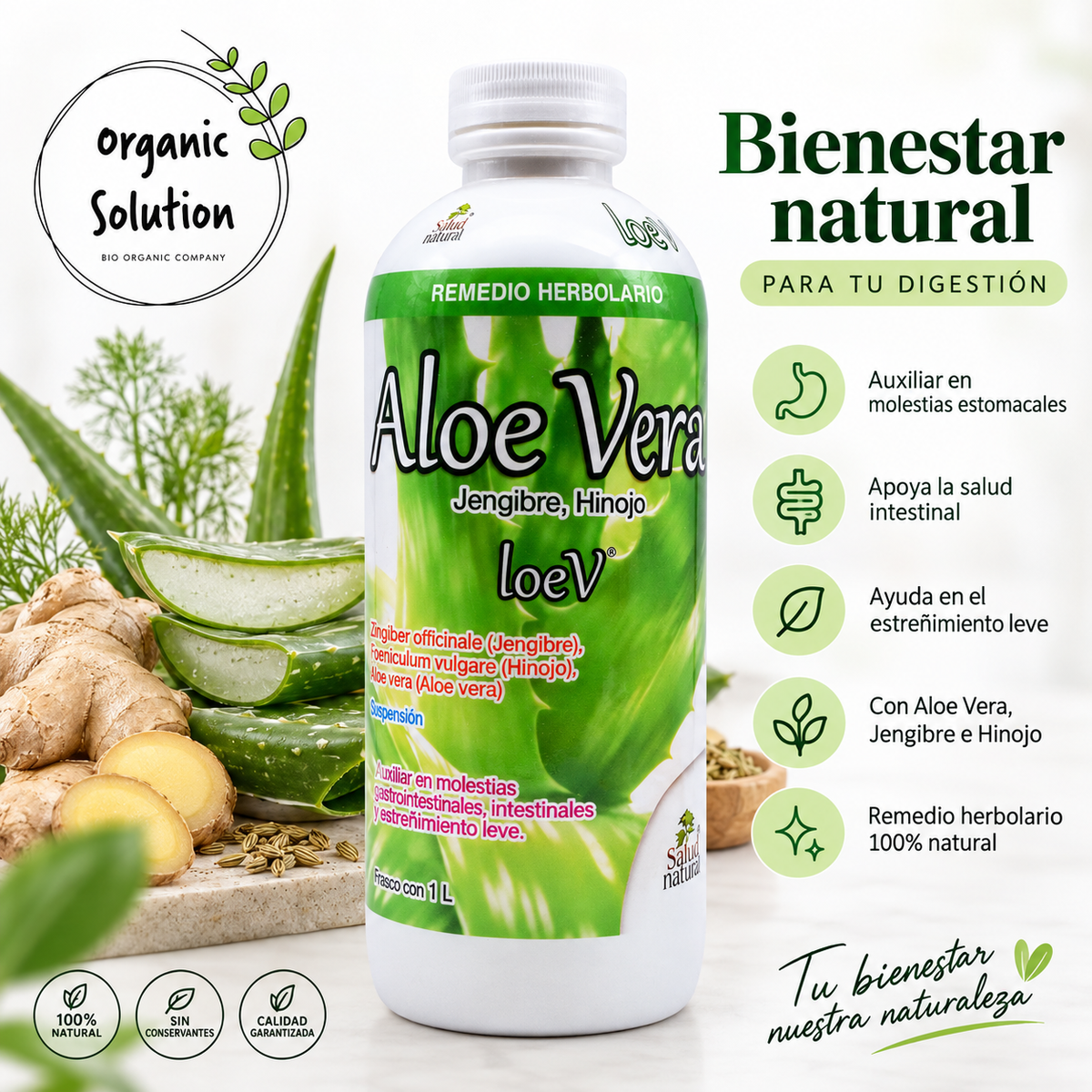 Aloe Vera con Jengibre e Hinojo 1 Litro | Bienestar Digestivo