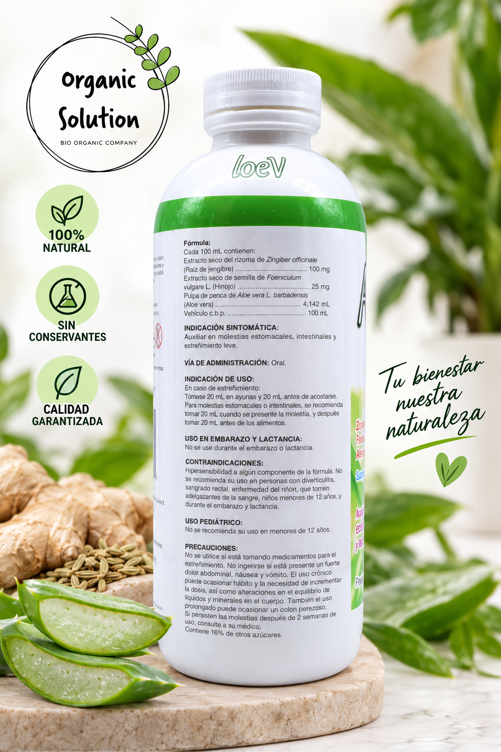 Aloe Vera con Jengibre e Hinojo 1 Litro | Bienestar Digestivo